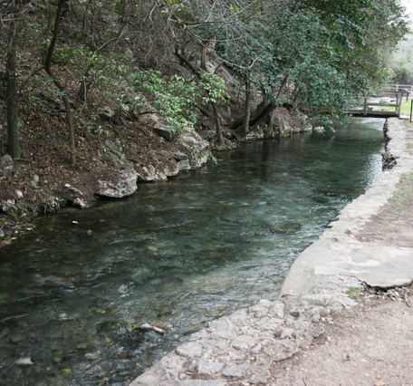 Image of the Comal river during spring runoff