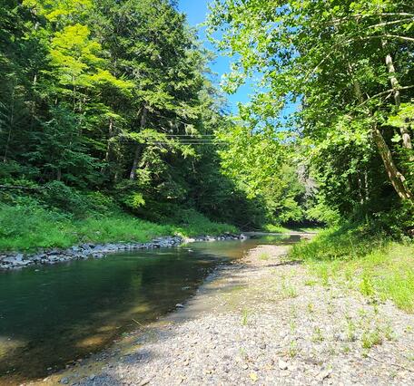 A drier stream bed in the summer. 