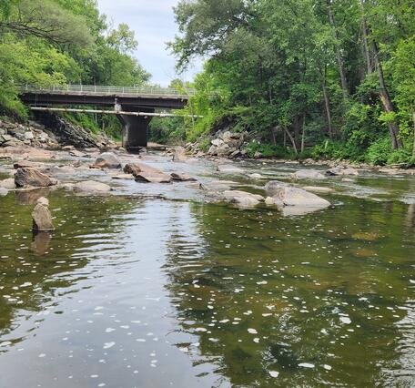A river bed with low flows and exposed rocks during the summer. 