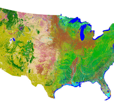 Color-coded image of United States's Land Cover