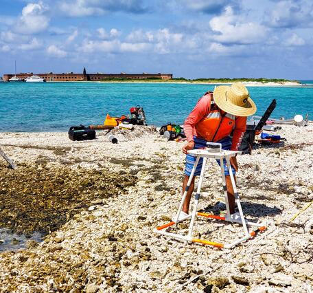 SPCMSC Scientists Perform Fieldwork on the Coral-Rubble Keys