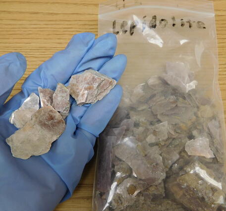 Hand holding lipedolite sample