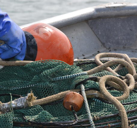 nets used for sampling juvenile endangered Klamath suckers in Klamath, OR