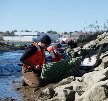 two scientists doing fieldwork on the coast