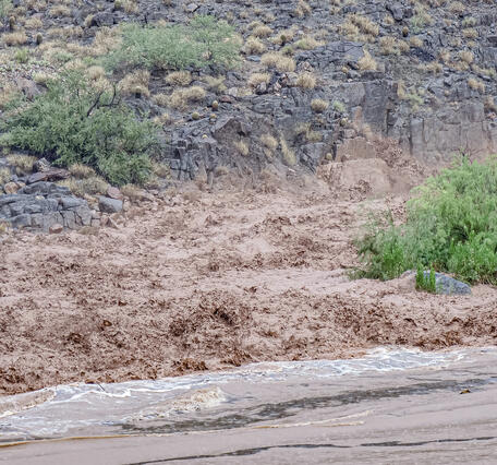 Muddy floodwaters rush down a canyon into the Colorado River, Grand Canyon, during a flash flood event