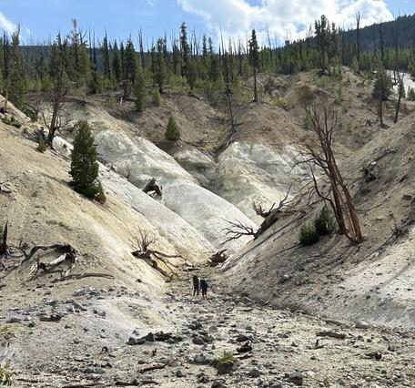 small V-shaped valley with tan/white walls and sporadic small trees
