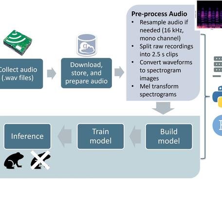 Diagram of the workflow used to collect and process audio for the presence of calling bullfrogs. collect audio, download, store, and prepare audio. pre-process audio - resample audio, split ra recordings into 2.5 s clips, convert waveforms to spectrogram images, mel transform spectrograms. build model. train model. inference.