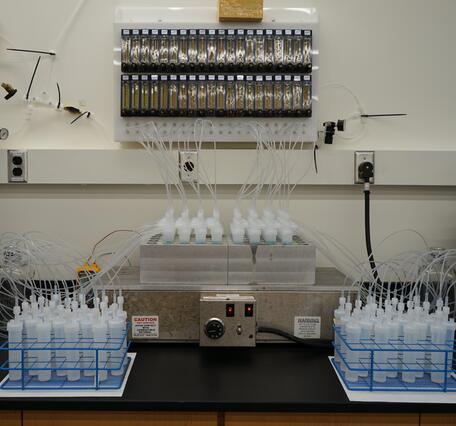 Water distillation equipment for methylmercury analysis