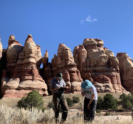 USGS and NPS staff make vegetation observations