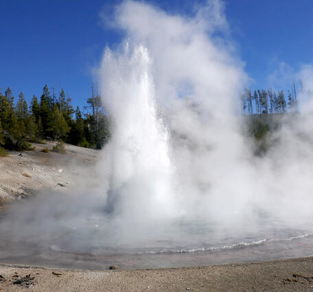Plume of white water and steam emanating from a dark pool of water in a barren area, trees and blue sky in background
