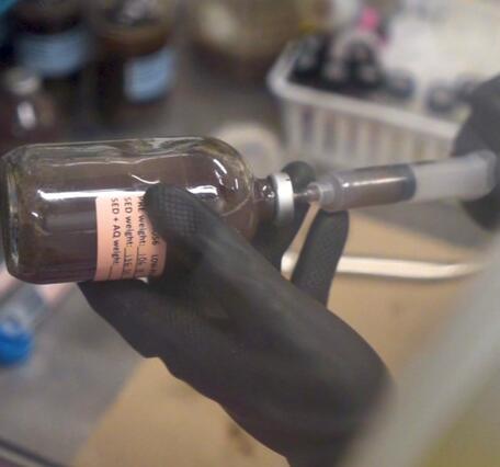 black gloved hands use a needle tipped syringe to plunge into a glass bottle of dark liquid