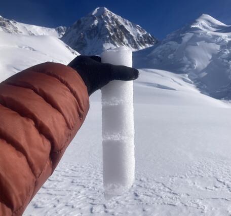 A person holding an ice core.