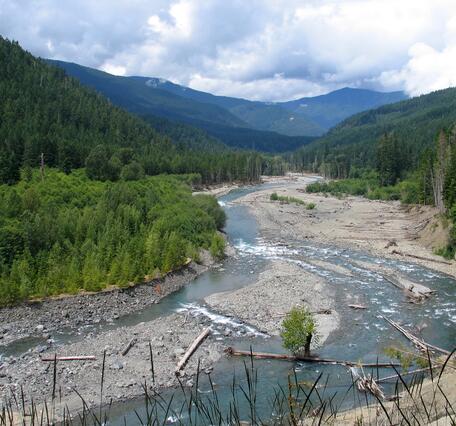Photo of Elwha River near the Humes Ranch Area, showing large woody debris along channel