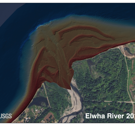 animated satellite images showing sediment outflow over time from Elwha River