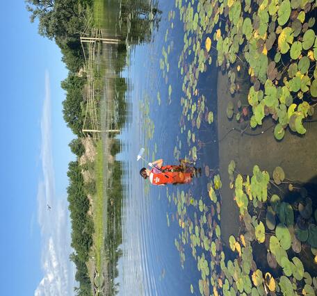 A woman stands in the water amongst lily pads holding a sampling bottle.