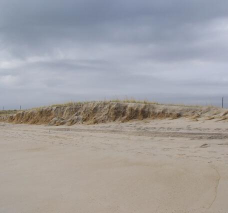 A beach with an eroded ocean dune with some vegetation on top, cloudy sky overhead