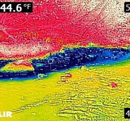 A thermal image showing shades of blue as cooler temperatures and shades of red as warmer temperatures.