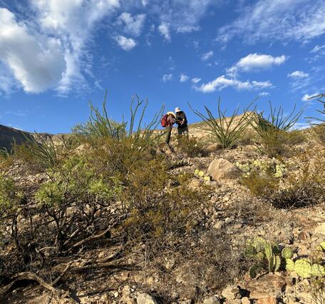 Two people standing in a desert/rocky landscape with low vegetation and several cactii. 