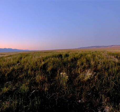 Rounded desert mound with short grasses, sparse landscape, distant mountain backlit by the setting sun.