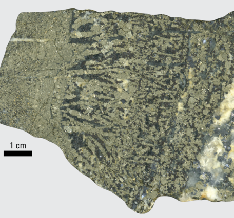 Ore with "zebra" striping