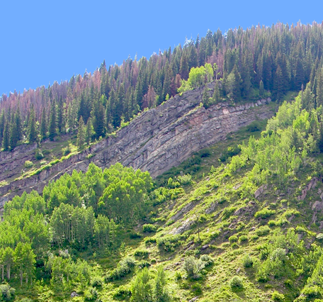 geologic outcrop with fold and fault