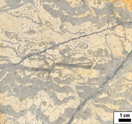 rock cut with molybdenite veins