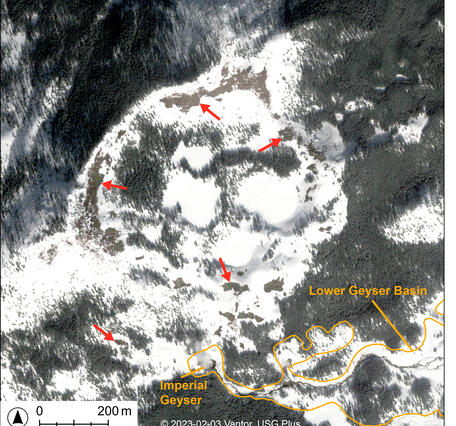 Area of snowy and tree-covered ground, with scattered occasional bare patches of brown soil