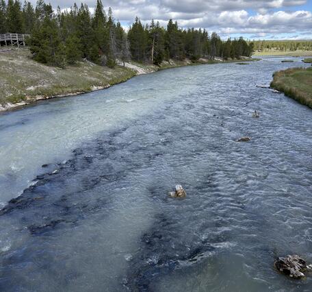 River with milky blue-green color mixing with normal dark blue, and some trees along the grassy banks under partly cloudy sky