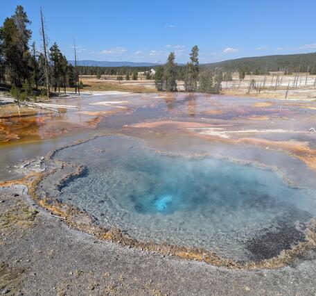 Hot spring with clear-blue water and bubbles in the center, surrounded by wet silica sinter under blue sky; pine trees behind