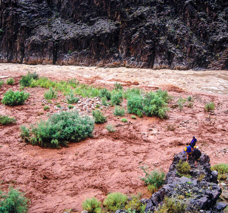 People standing on rocks overlooking the Colorado River during a large flash flood