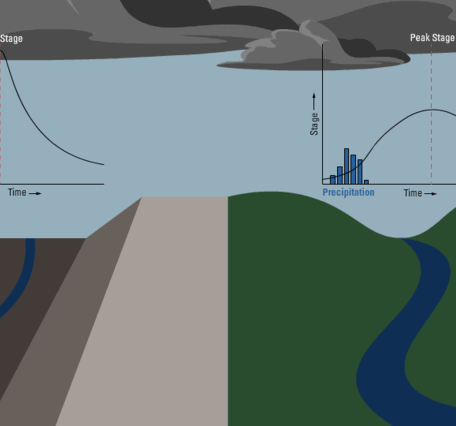 Animation of a flashy concrete channel side-by-side with a natural, less flashy stream.