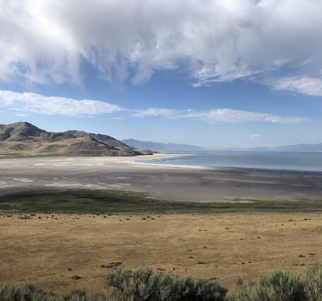 rocky, vegetated shoreline of a lake in an arid environment. The water is calm and reflects the low, brown hills