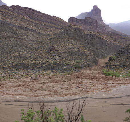 A flash flood moves rapidly down a canyon carrying sediment and debris into the Colorado River during a storm