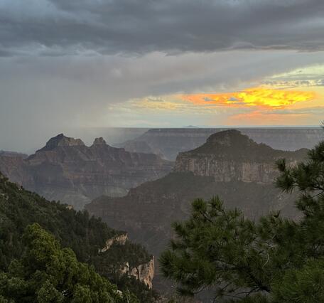 A rainstorm downburst moves across the top of mountains with pine trees in the foreground and a yellow sunset in the distance