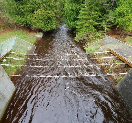 Four wires with hanging metal rods protected by a fence crossing a stream with dark brown water
