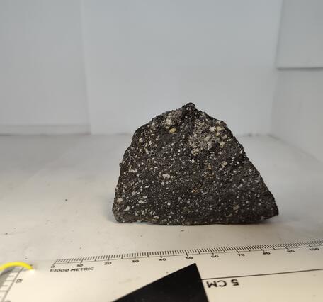Fist sized sample of rock, black in color with white flecks