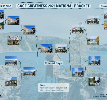 Gage Greatness 2025 Final National Bracket
