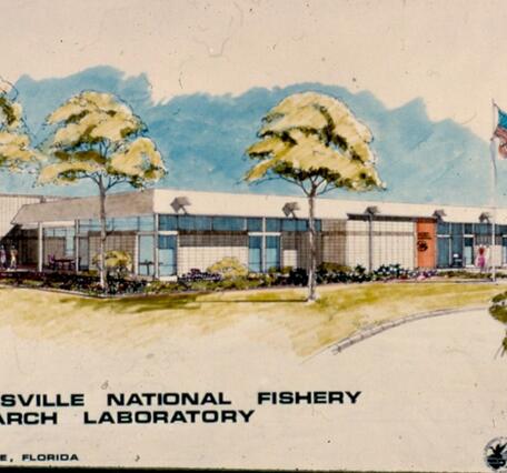 A 1978 postcard showing a drawing of the Gainesville National Fishery Research Laboratory.