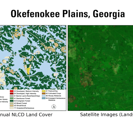 2 animations side by side, one in green and tan colors with a legend, the other in mostly greens and browns