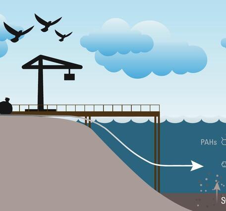 Graphical abstract for Bellingham Bay contaminant study showing pathways of contamination