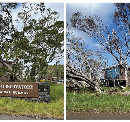 Color photographs of vegetation changes near a brown wooden sign