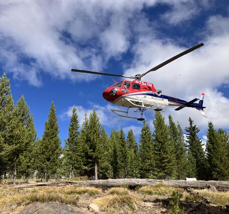 A helicopter hovers above a grassy clearing under partly cloudy skies with pine trees in the background