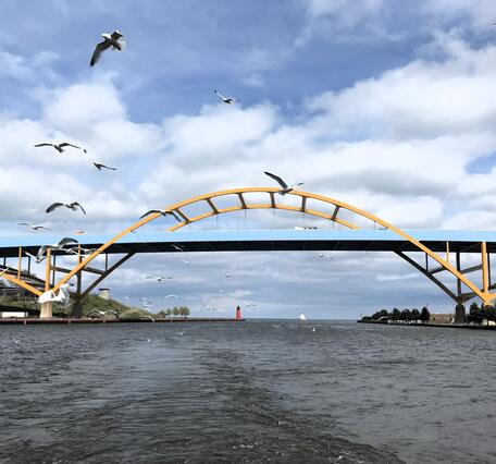 View of Hoan Bridge in Milwaukee with seagulls flying in foreground
