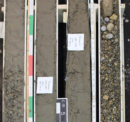 This image of a drill core shows four sections of core in casings with sediment ranging in size from gravel to silt. 