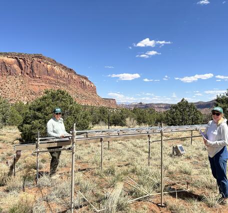 Two people stand near a drought simulation plot