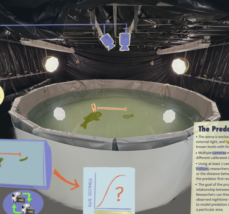 Artificial light at night pool experiment infographic