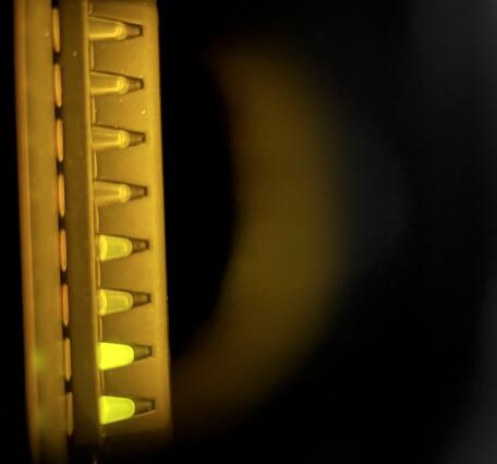 Vials with various volumes of liquid in them glow yellow
