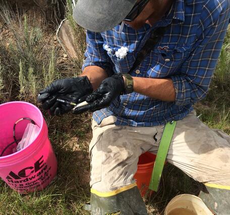 graduate student scrubbing algae off ceramic tiles