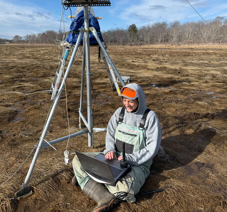 Scientist doing fieldwork in a coastal wetland