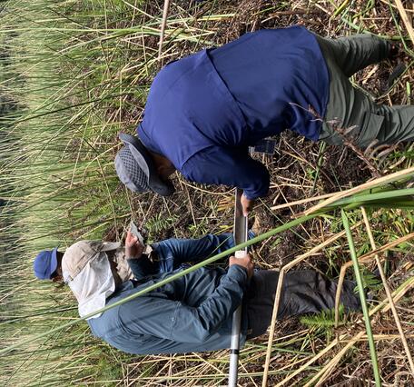Color photograph of scientists in a grassy environment holding a corer